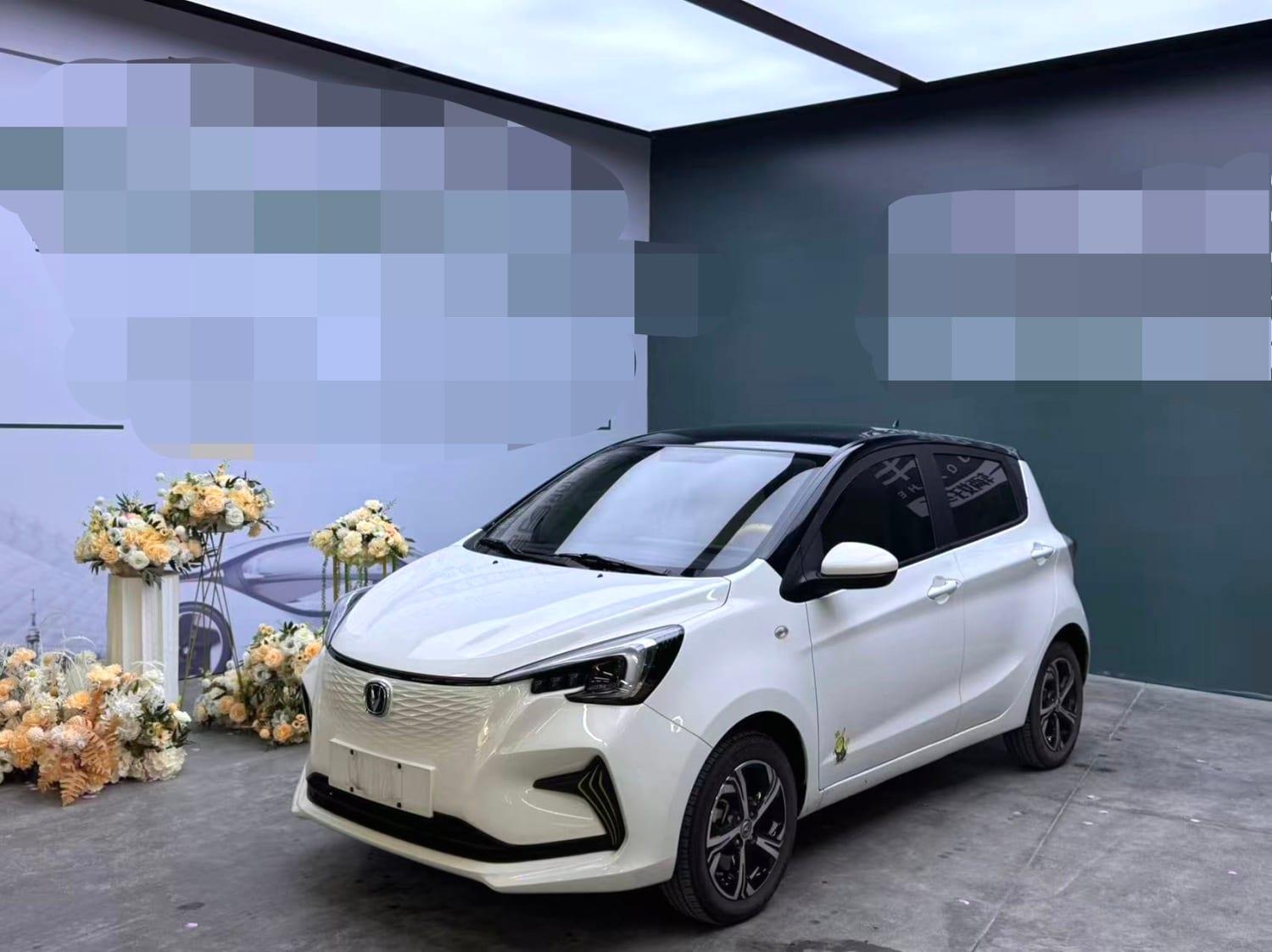 2020 Changan Benben E-Star Heartbeat Edition — Used SUV