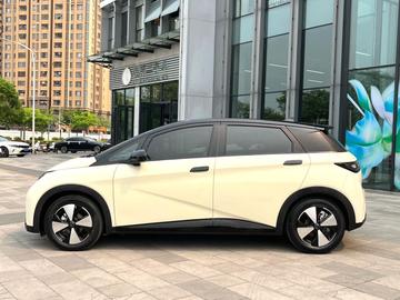 BYD Dolphin 420km Fashion - 3