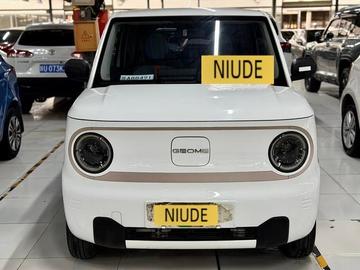 Geely Panda 200km Panda Mini Smart Panda - 4